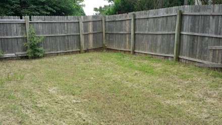 A fence in the back yard