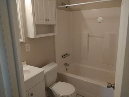 A view of the shower and sink