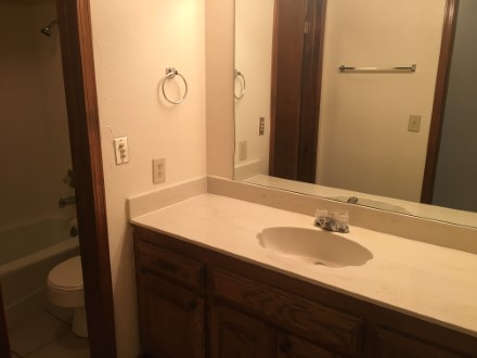 A sink and large mirror