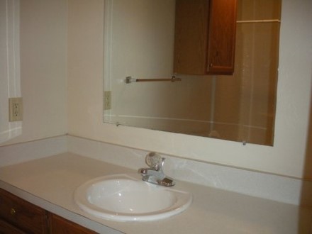 A double sink and large mirror