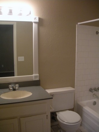 A sink and a mirror
