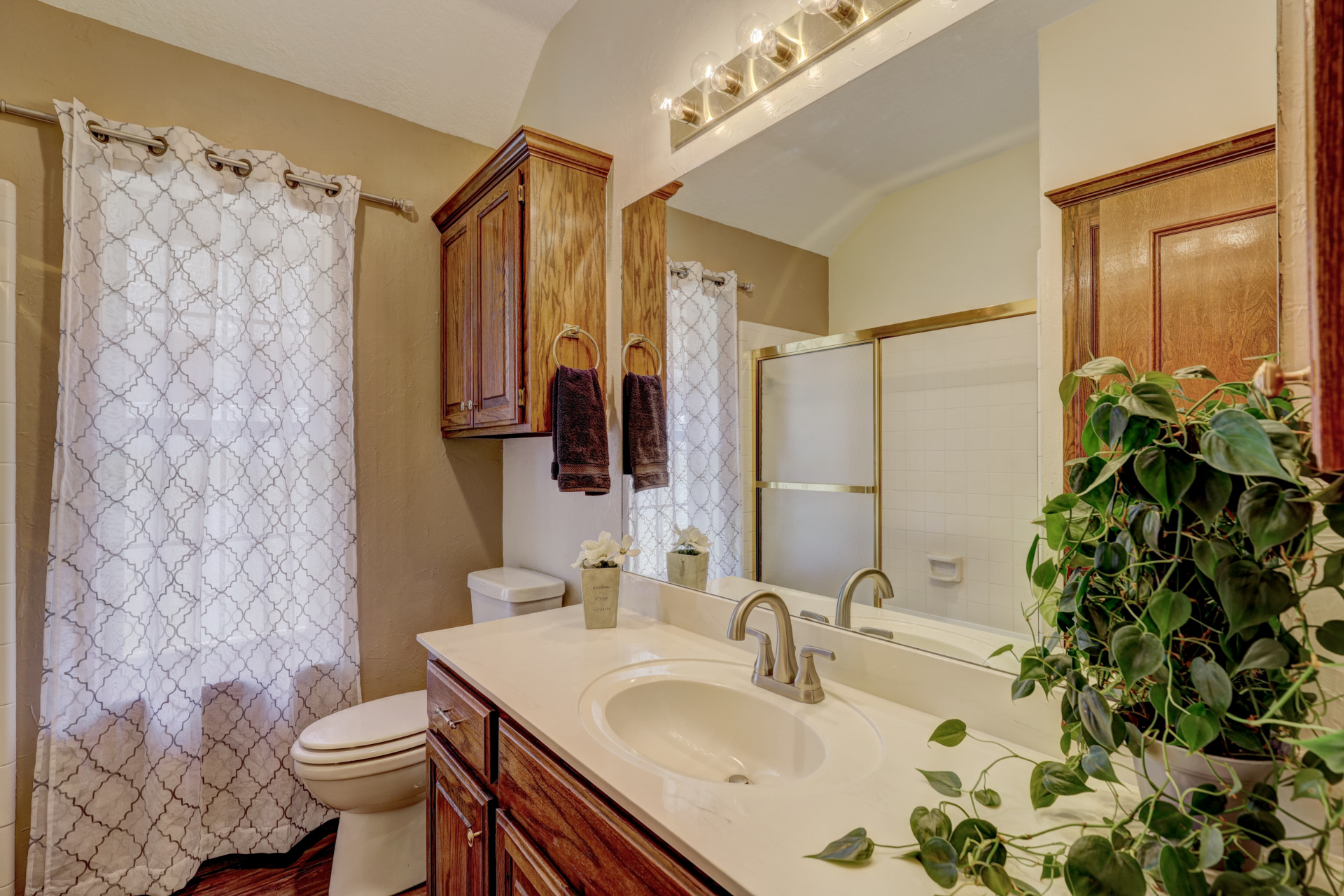 A beauty. Awesome living quarters. 