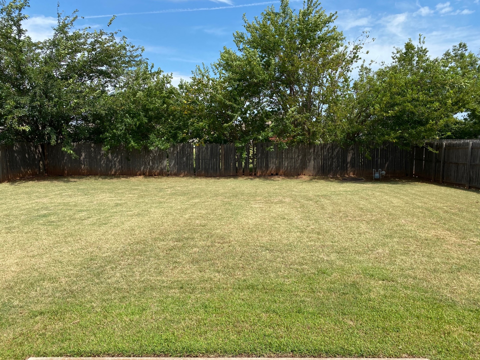 A capitvating nest. Call 405-720-0077 for more details. 