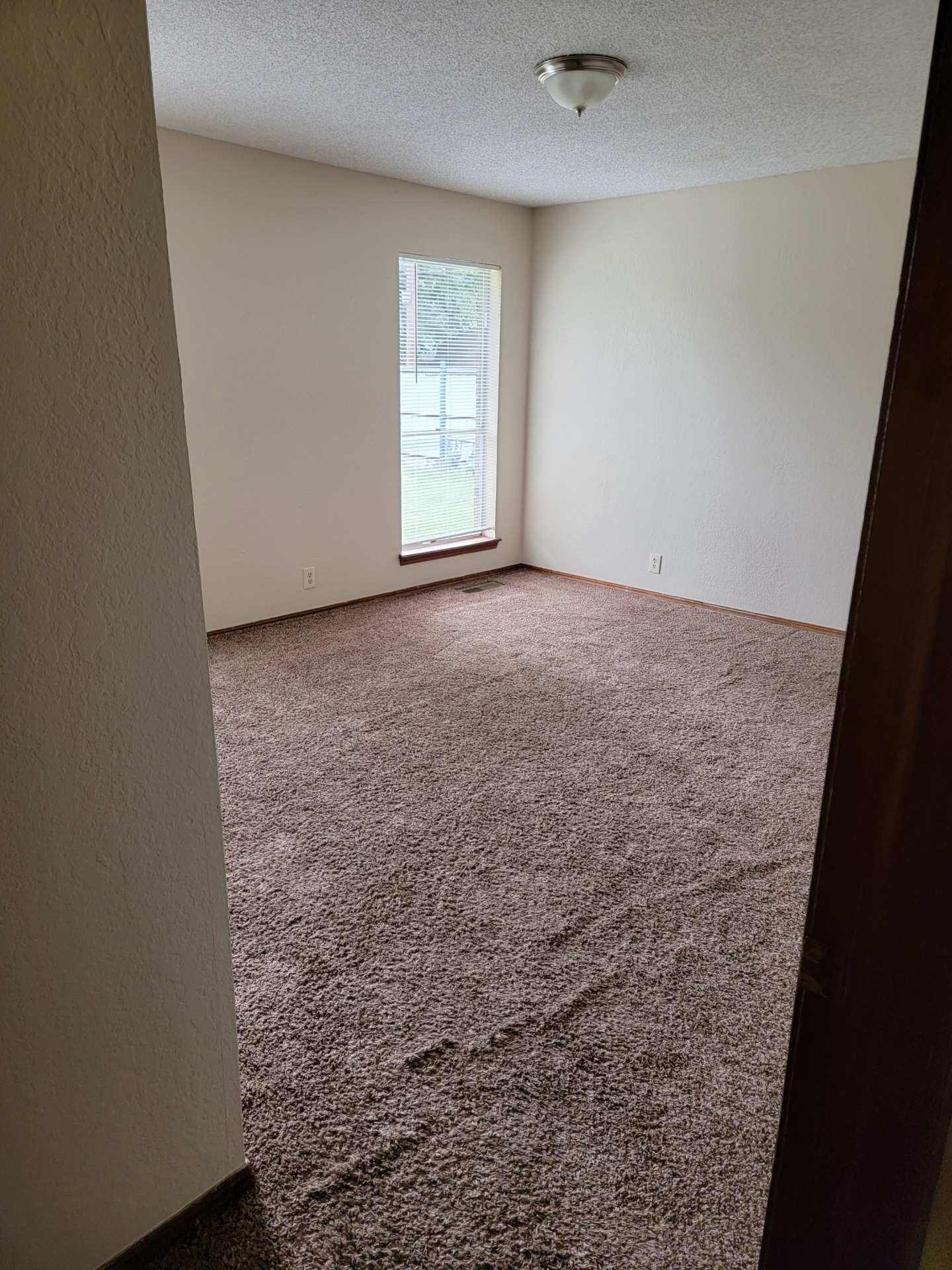 Reasonably priced. A rare find. 