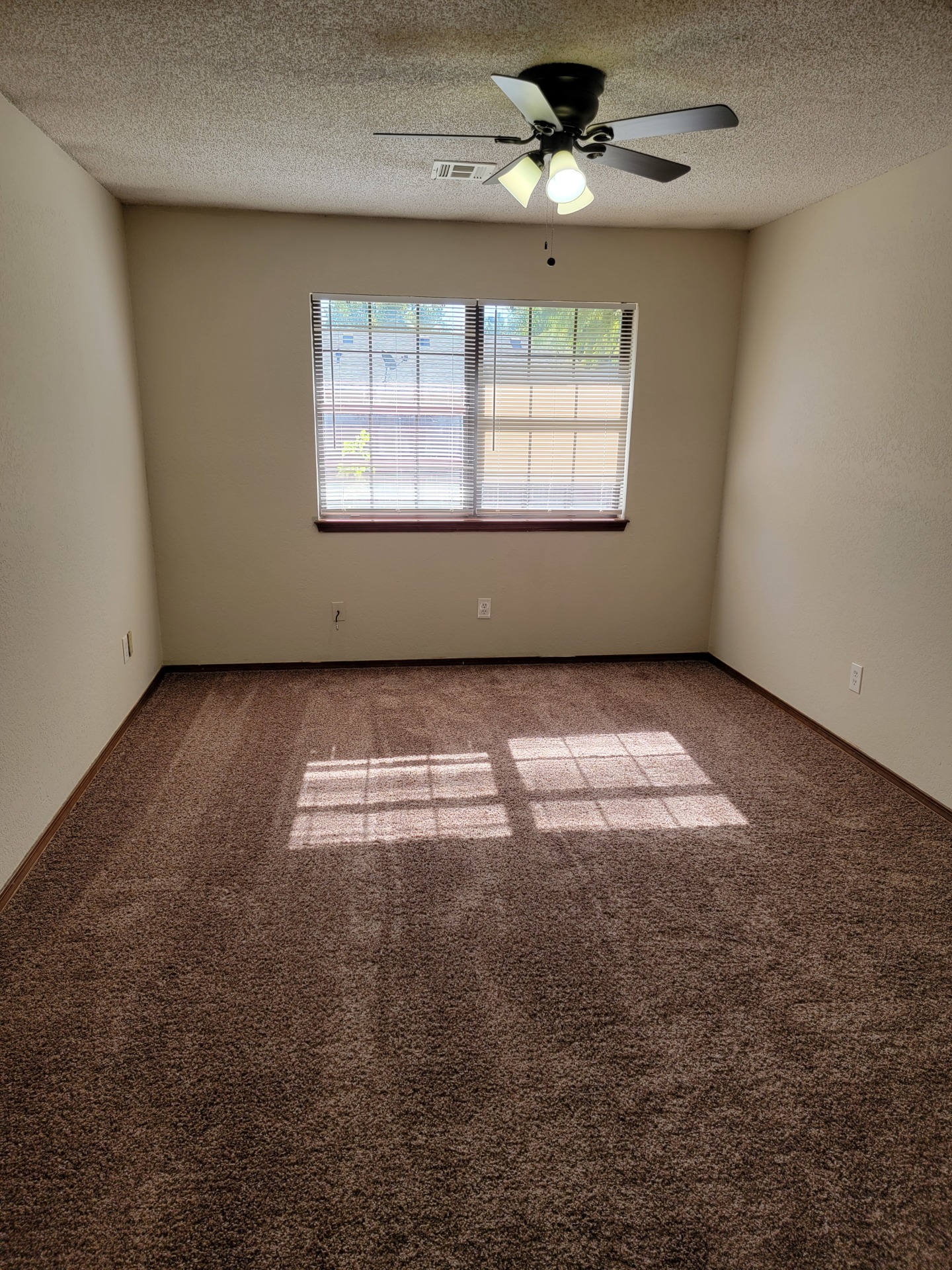 A must see. Super, super cute. 