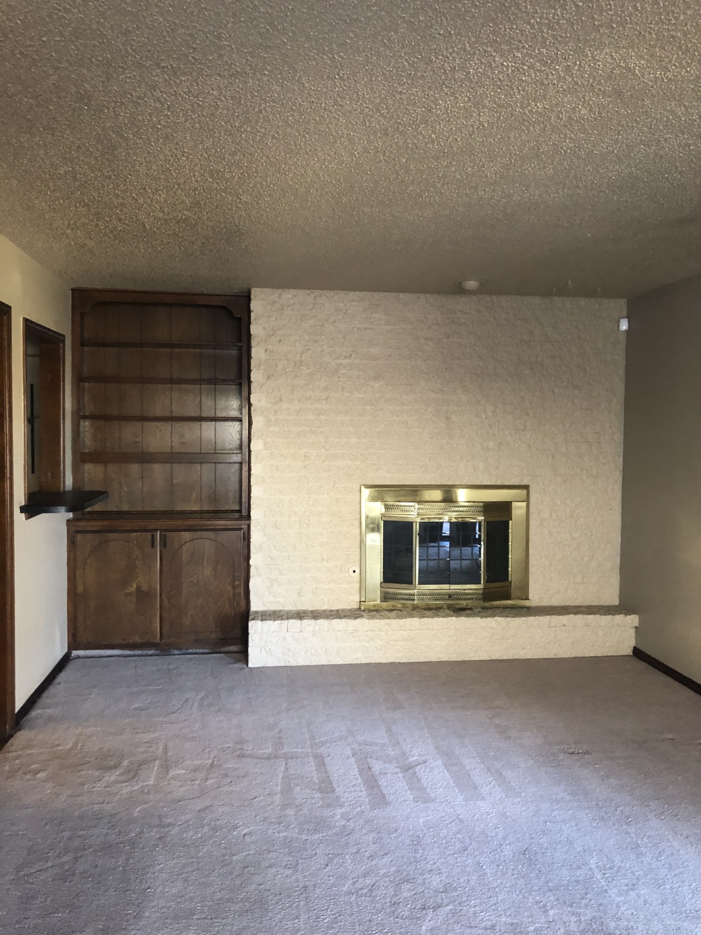 A beauty. Awesome living quarters. 