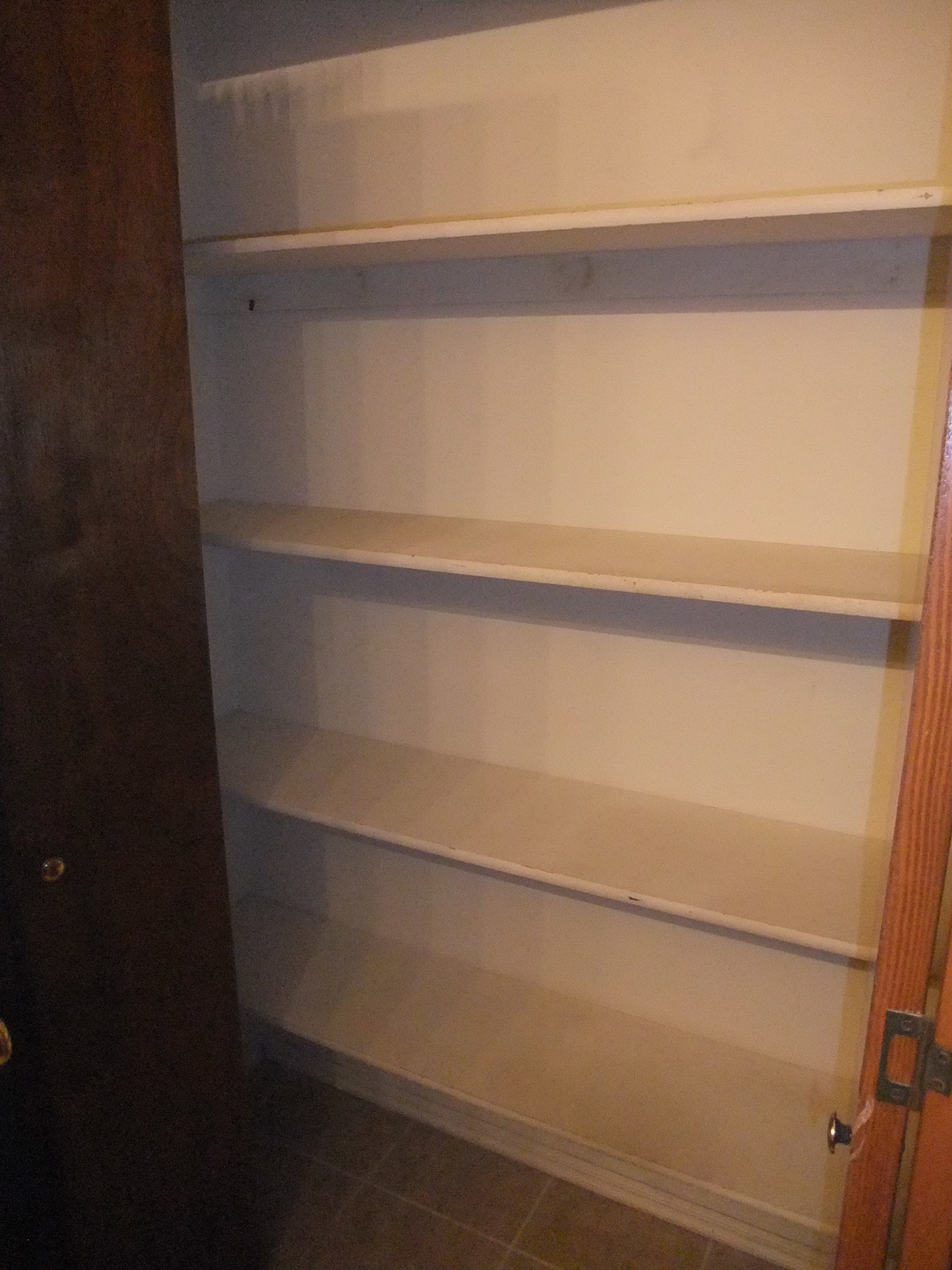 An exceptional nest. A must see. 