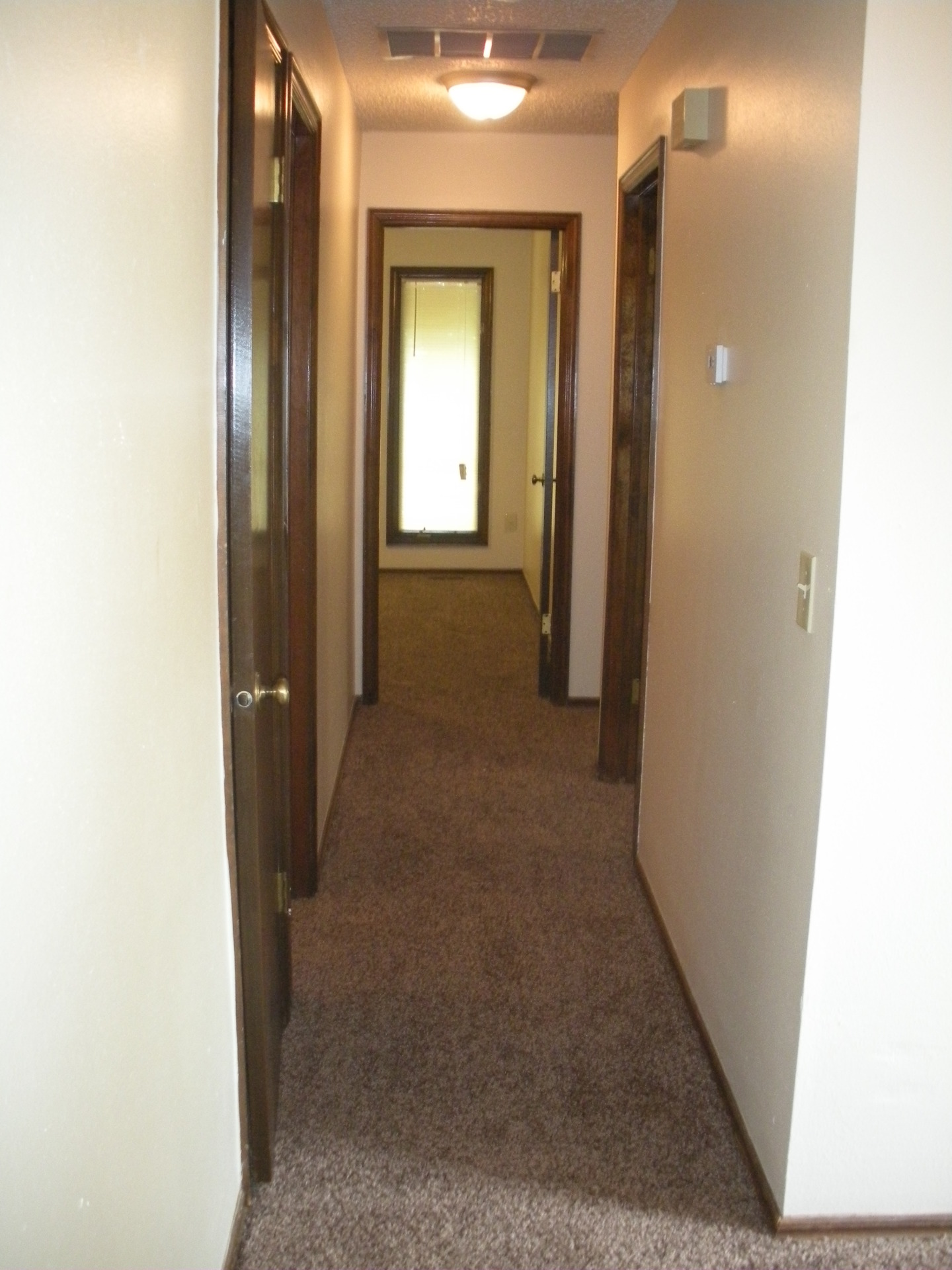 Reasonably priced. A rare find. 