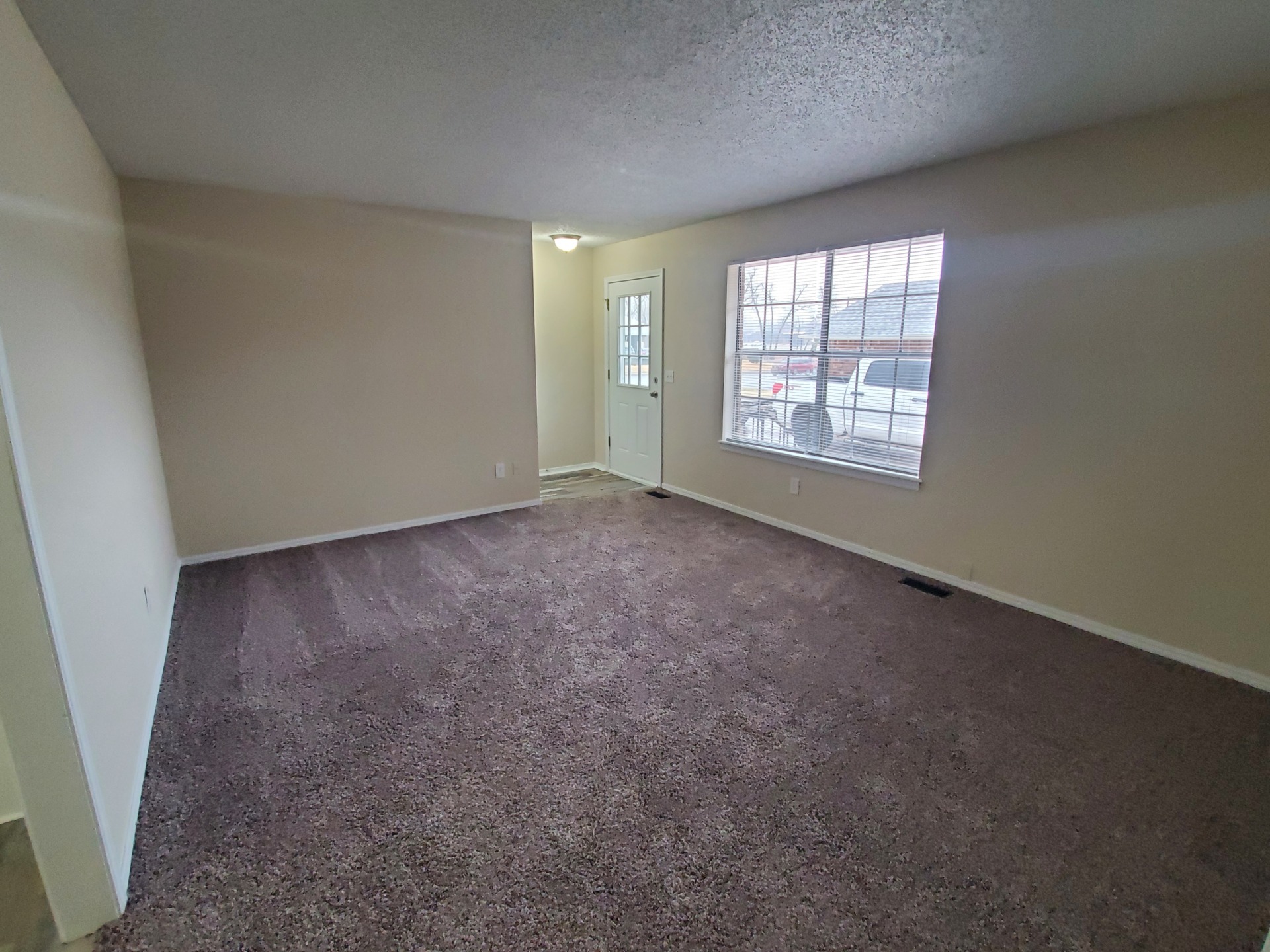 A true delight. Very cute. 