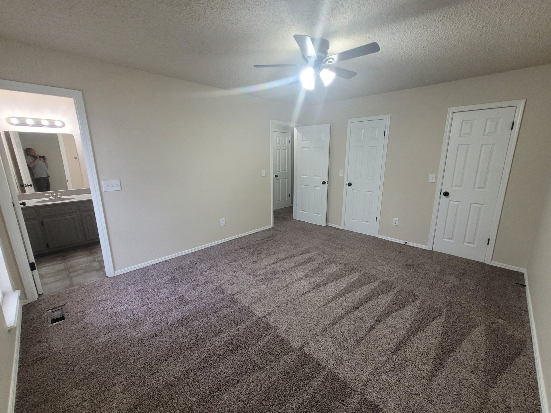 An exceptional nest. A must see. 