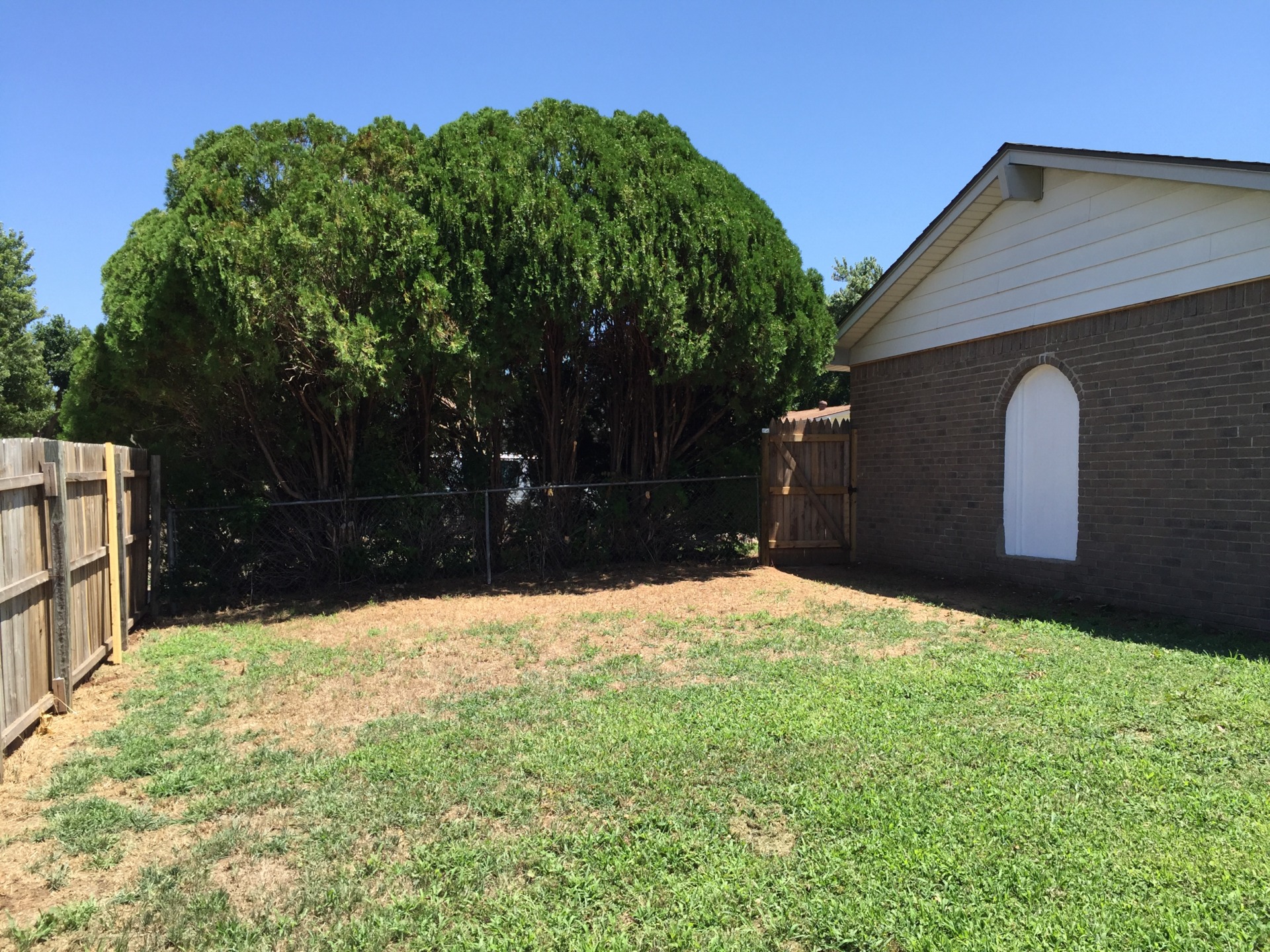 An exceptional nest. A must see. 