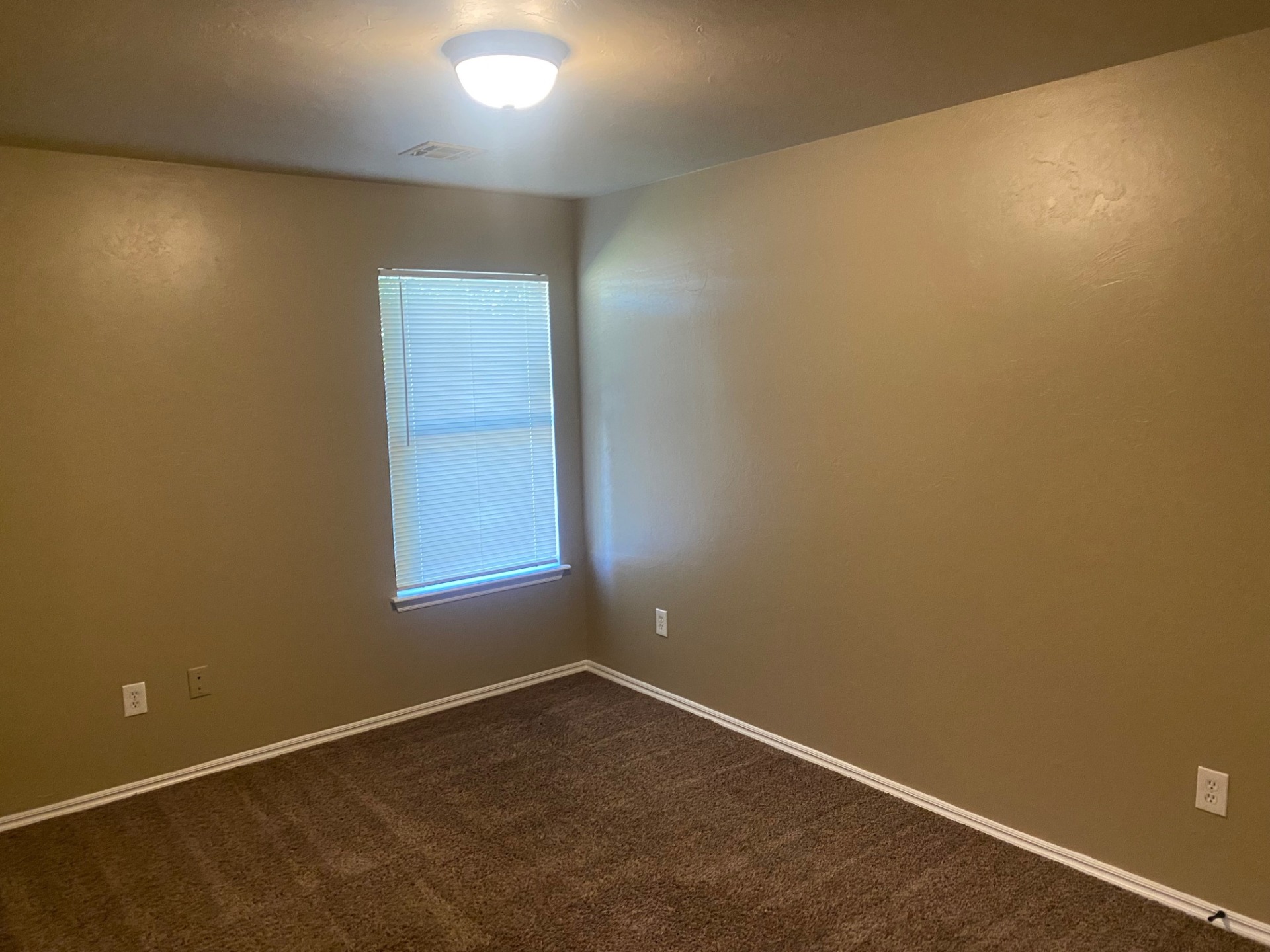 A beauty. Many conveniences. 