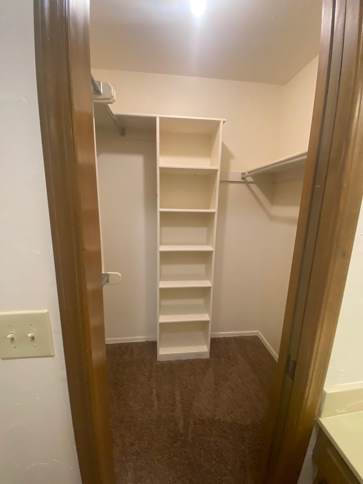 A must see. Super, super cute. 