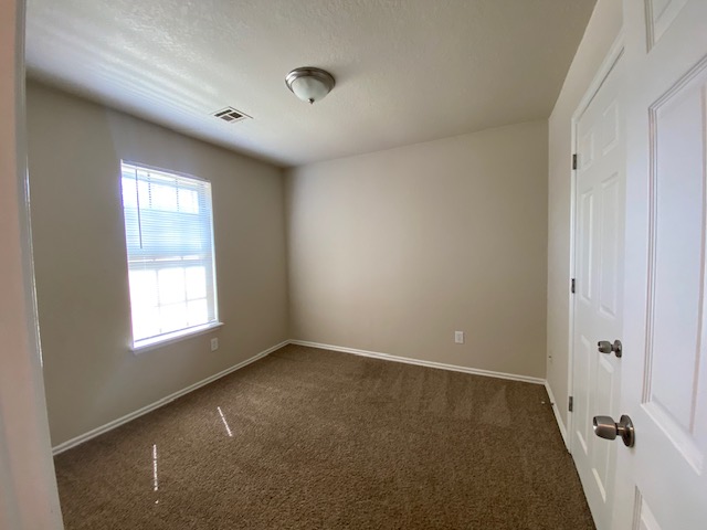 A beauty. You'll fall in love with this place. 