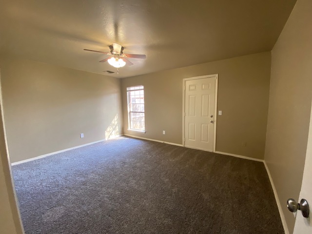 Beauty and much more. Imagine the possibilities. 